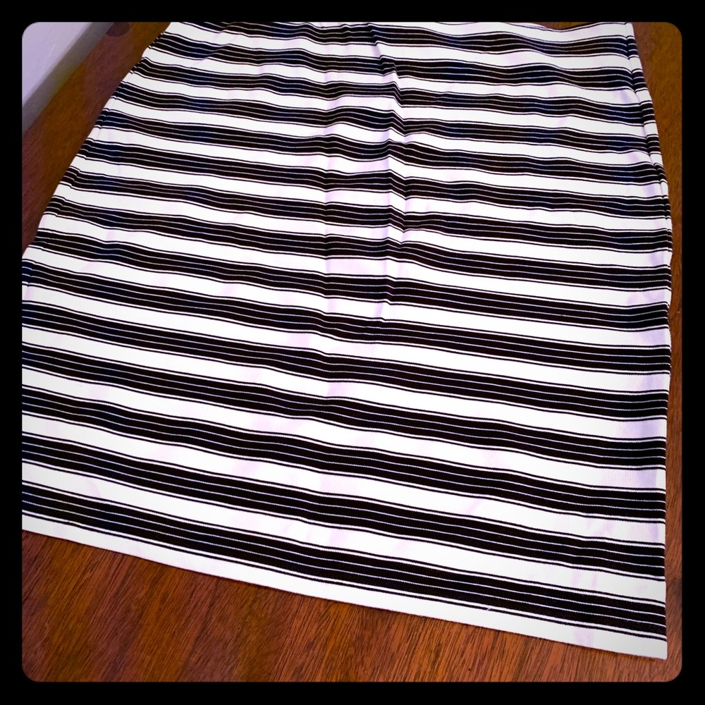 NWT Loft pencil skirt
